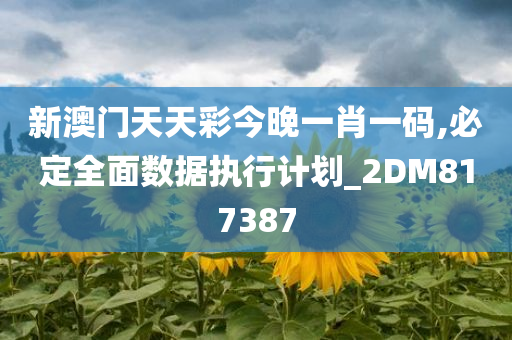 新澳门天天彩今晚一肖一码,必定全面数据执行计划_2DM817387