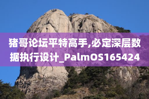 猪哥论坛平特高手,必定深层数据执行设计_PalmOS165424