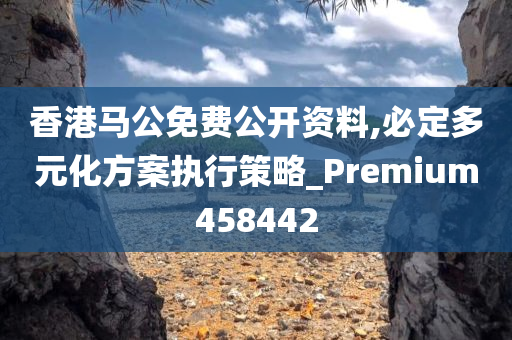 香港马公免费公开资料,必定多元化方案执行策略_Premium458442