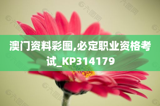 澳门资料彩图,必定职业资格考试_KP314179