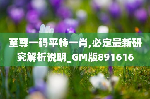 至尊一码平特一肖,必定最新研究解析说明_GM版891616