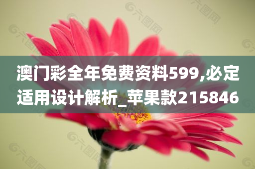 澳门彩全年免费资料599,必定适用设计解析_苹果款215846