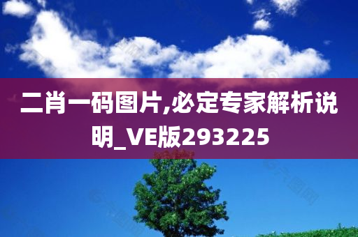 二肖一码图片,必定专家解析说明_VE版293225