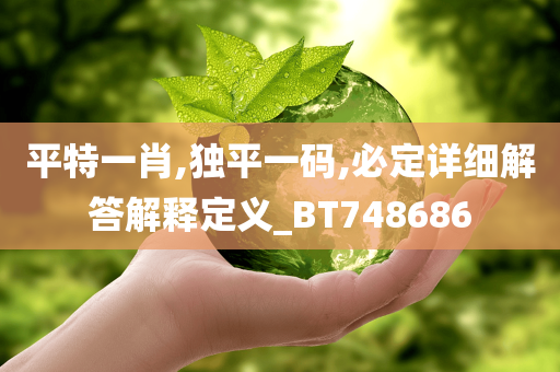 平特一肖,独平一码,必定详细解答解释定义_BT748686