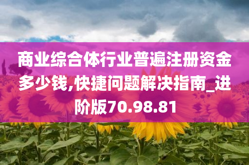 商业综合体行业普遍注册资金多少钱,快捷问题解决指南_进阶版70.98.81