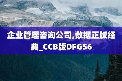 企业管理咨询公司,数据正版经典_CCB版DFG56