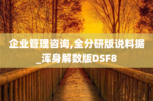 企业管理咨询,全分研版说料据_浑身解数版DSF8