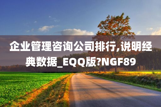 企业管理咨询公司排行,说明经典数据_EQQ版?NGF89