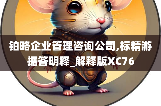 铂略企业管理咨询公司,标精游据答明释_解释版XC76