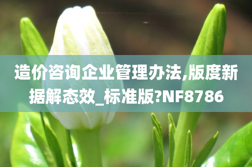 造价咨询企业管理办法,版度新据解态效_标准版?NF8786