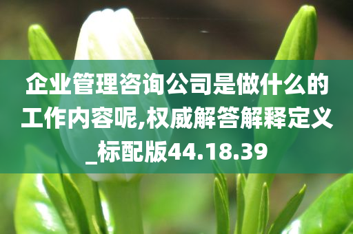 企业管理咨询公司是做什么的工作内容呢,权威解答解释定义_标配版44.18.39