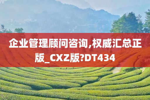 企业管理顾问咨询,权威汇总正版_CXZ版?DT434