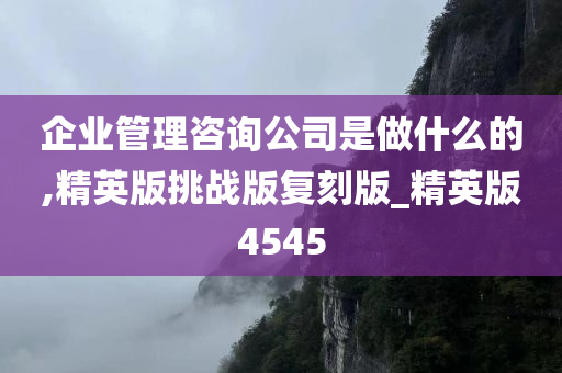 企业管理咨询公司是做什么的,精英版挑战版复刻版_精英版4545