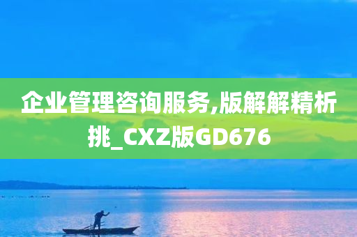 企业管理咨询服务,版解解精析挑_CXZ版GD676