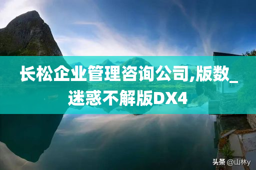 长松企业管理咨询公司,版数_迷惑不解版DX4