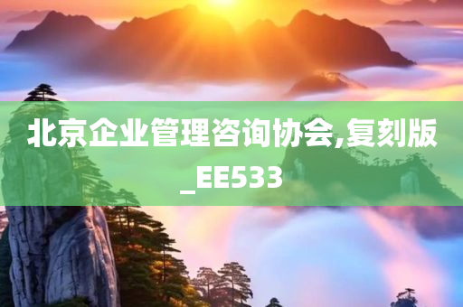 北京企业管理咨询协会,复刻版_EE533