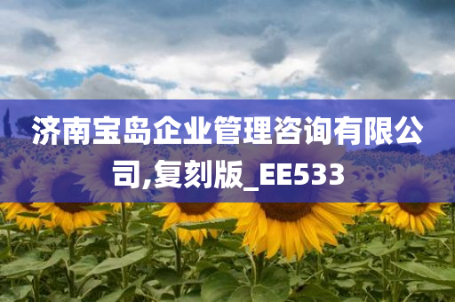 济南宝岛企业管理咨询有限公司,复刻版_EE533