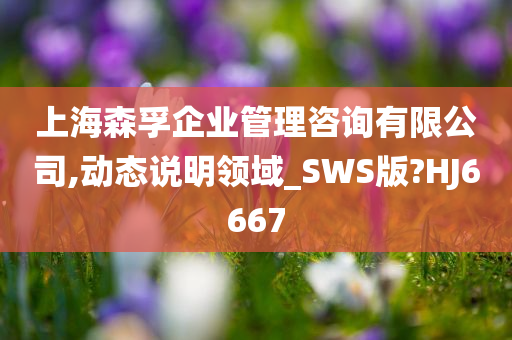 上海森孚企业管理咨询有限公司,动态说明领域_SWS版?HJ6667