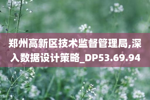 郑州高新区技术监督管理局,深入数据设计策略_DP53.69.94