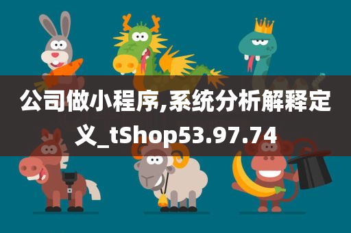 公司做小程序,系统分析解释定义_tShop53.97.74