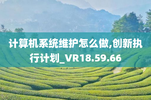 计算机系统维护怎么做,创新执行计划_VR18.59.66