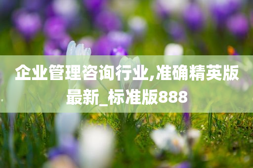 企业管理咨询行业,准确精英版最新_标准版888