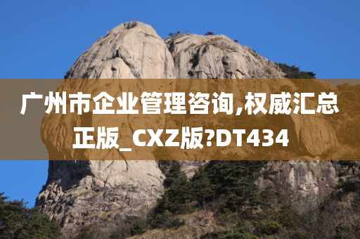 广州市企业管理咨询,权威汇总正版_CXZ版?DT434