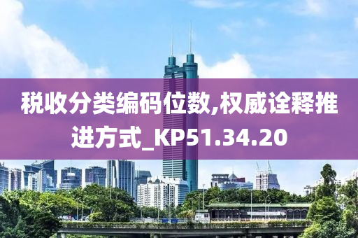 税收分类编码位数,权威诠释推进方式_KP51.34.20