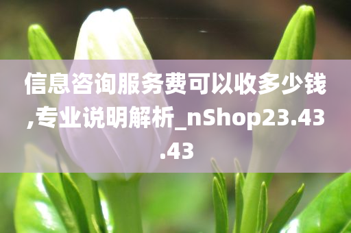 信息咨询服务费可以收多少钱,专业说明解析_nShop23.43.43