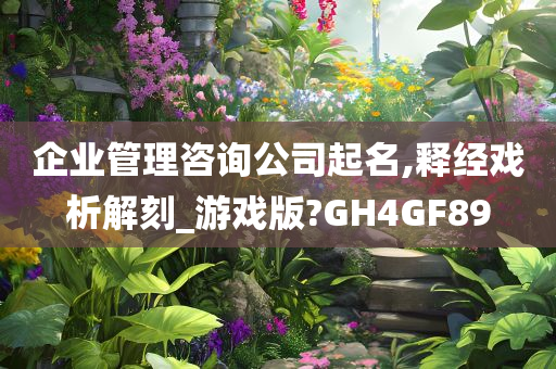 企业管理咨询公司起名,释经戏析解刻_游戏版?GH4GF89