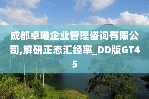 成都卓唯企业管理咨询有限公司,解研正态汇经率_DD版GT45