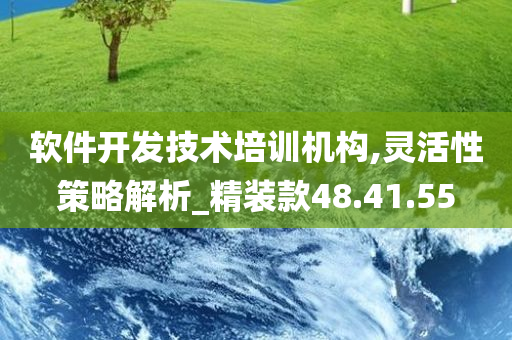 软件开发技术培训机构,灵活性策略解析_精装款48.41.55