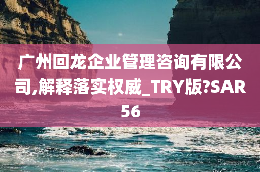 广州回龙企业管理咨询有限公司,解释落实权威_TRY版?SAR56