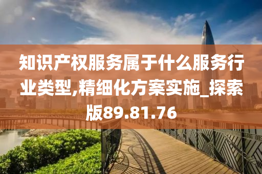 知识产权服务属于什么服务行业类型,精细化方案实施_探索版89.81.76