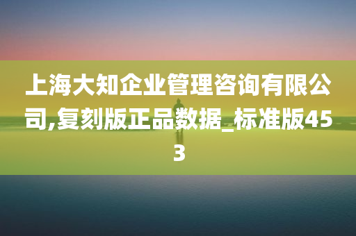 上海大知企业管理咨询有限公司,复刻版正品数据_标准版453