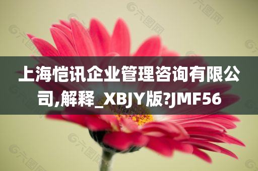 上海恺讯企业管理咨询有限公司,解释_XBJY版?JMF56