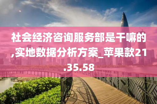 社会经济咨询服务部是干嘛的,实地数据分析方案_苹果款21.35.58