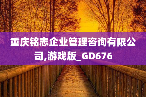 重庆铭志企业管理咨询有限公司,游戏版_GD676