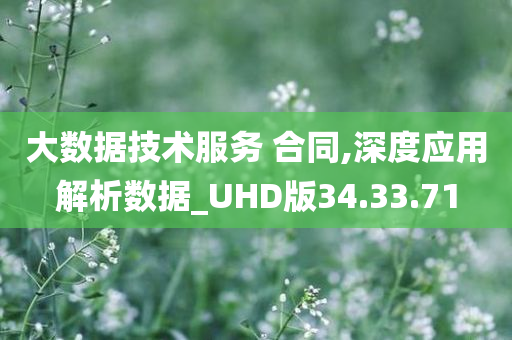 大数据技术服务 合同,深度应用解析数据_UHD版34.33.71