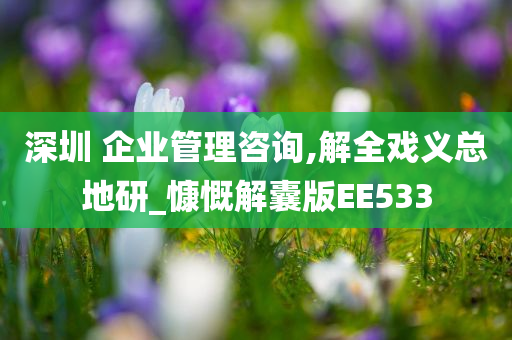 深圳 企业管理咨询,解全戏义总地研_慷慨解囊版EE533