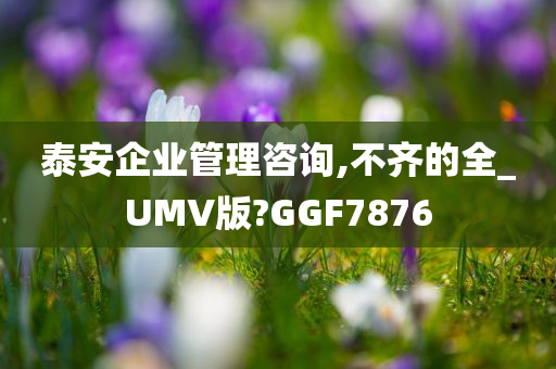 泰安企业管理咨询,不齐的全_UMV版?GGF7876