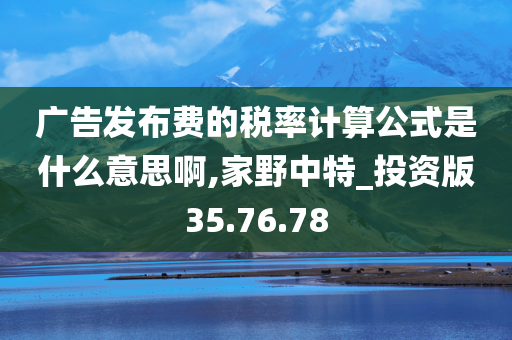 广告发布费的税率计算公式是什么意思啊,家野中特_投资版35.76.78