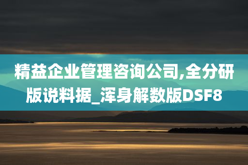 精益企业管理咨询公司,全分研版说料据_浑身解数版DSF8