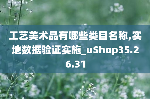 工艺美术品有哪些类目名称,实地数据验证实施_uShop35.26.31