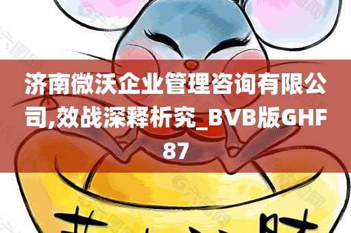 济南微沃企业管理咨询有限公司,效战深释析究_BVB版GHF87