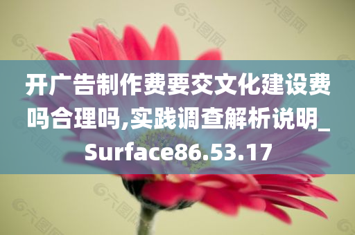 开广告制作费要交文化建设费吗合理吗,实践调查解析说明_Surface86.53.17