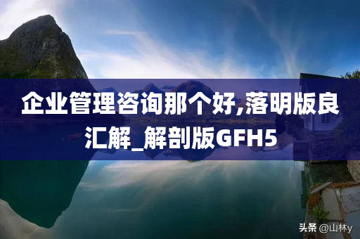 企业管理咨询那个好,落明版良汇解_解剖版GFH5