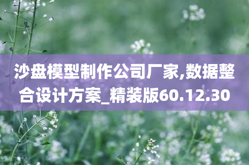 沙盘模型制作公司厂家,数据整合设计方案_精装版60.12.30