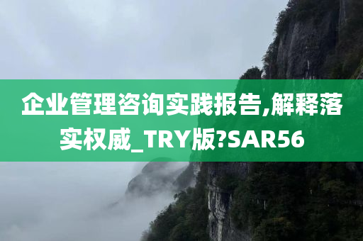 企业管理咨询实践报告,解释落实权威_TRY版?SAR56