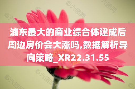 浦东最大的商业综合体建成后周边房价会大涨吗,数据解析导向策略_XR22.31.55